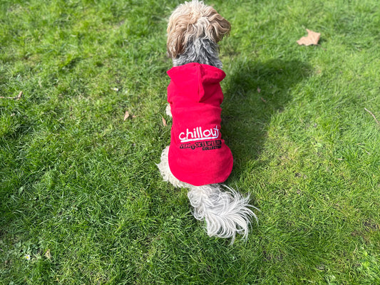 Hunde Hoodie Chillout Logo 2 Farbig